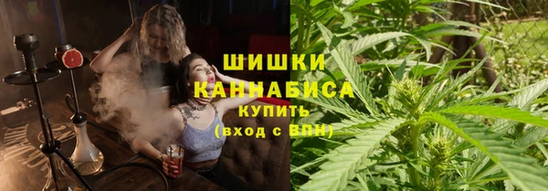 амф Аркадак