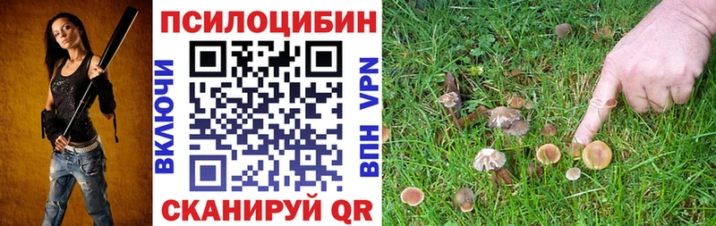 Галлюциногенные грибы мухоморы  Брянск 